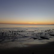 2014-01-17 PointReyesCamping 095 : 2014-01-17_PointReyesCamping